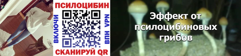 где найти   Перевоз  Псилоцибиновые грибы мухоморы 